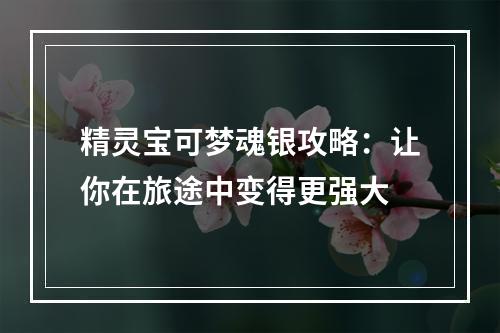 精灵宝可梦魂银攻略：让你在旅途中变得更强大