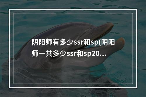 阴阳师有多少ssr和sp(阴阳师一共多少ssr和sp2020)