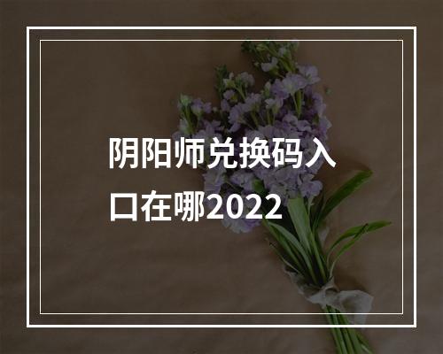 阴阳师兑换码入口在哪2022