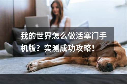 我的世界怎么做活塞门手机版？实测成功攻略！