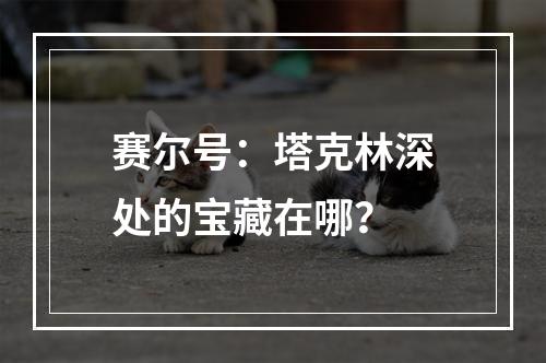 赛尔号：塔克林深处的宝藏在哪？