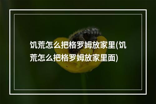 饥荒怎么把格罗姆放家里(饥荒怎么把格罗姆放家里面)