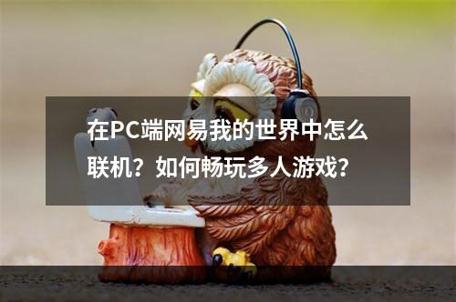 在PC端网易我的世界中怎么联机？如何畅玩多人游戏？