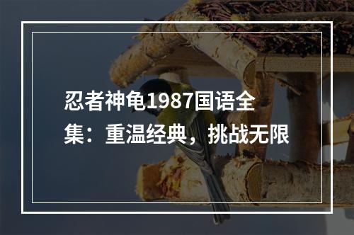 忍者神龟1987国语全集：重温经典，挑战无限