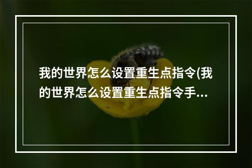 我的世界怎么设置重生点指令(我的世界怎么设置重生点指令手机)