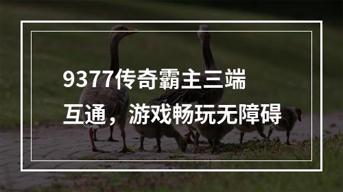 9377传奇霸主三端互通，游戏畅玩无障碍