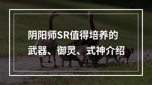 阴阳师SR值得培养的武器、御灵、式神介绍