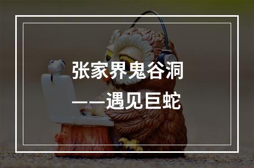 张家界鬼谷洞——遇见巨蛇