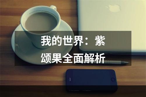 我的世界：紫颂果全面解析