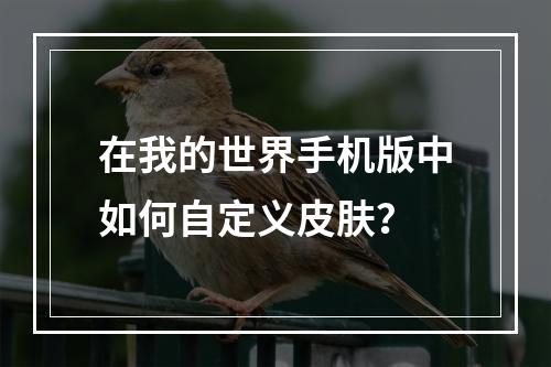 在我的世界手机版中如何自定义皮肤？