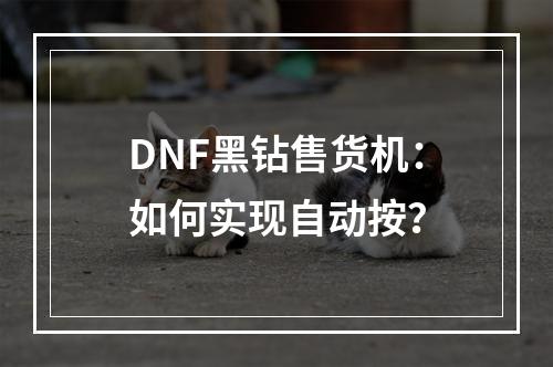 DNF黑钻售货机：如何实现自动按？