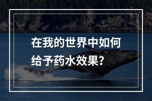 在我的世界中如何给予药水效果？