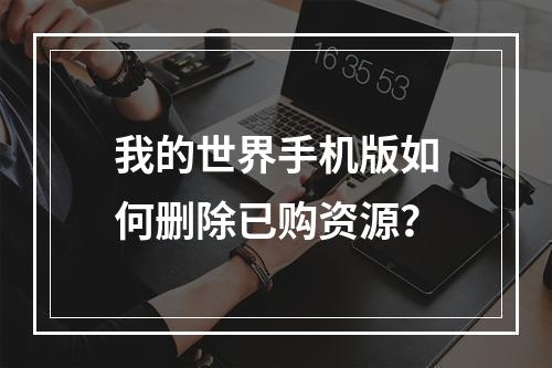 我的世界手机版如何删除已购资源？