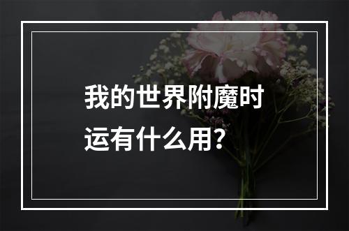 我的世界附魔时运有什么用？