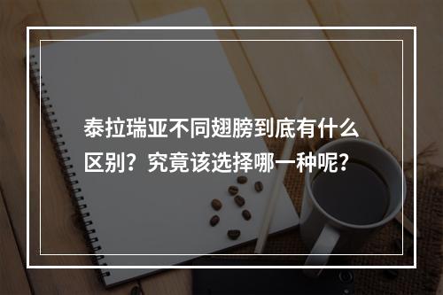 泰拉瑞亚不同翅膀到底有什么区别？究竟该选择哪一种呢？