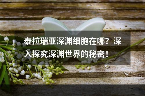 泰拉瑞亚深渊细胞在哪？深入探究深渊世界的秘密！