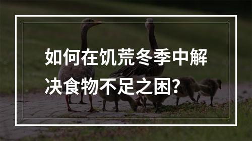 如何在饥荒冬季中解决食物不足之困？