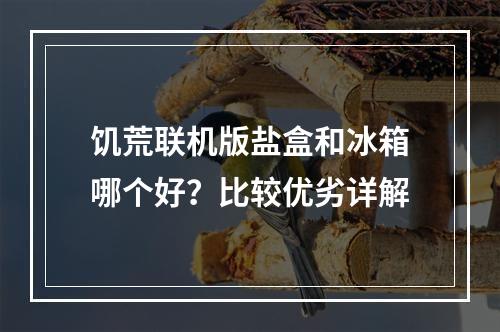 饥荒联机版盐盒和冰箱哪个好？比较优劣详解