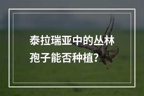 泰拉瑞亚中的丛林孢子能否种植？