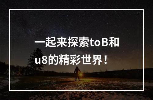 一起来探索toB和u8的精彩世界！