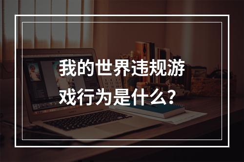 我的世界违规游戏行为是什么？