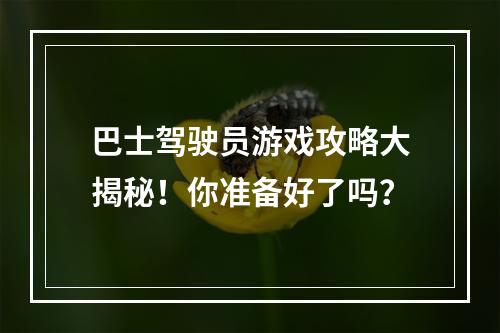 巴士驾驶员游戏攻略大揭秘！你准备好了吗？