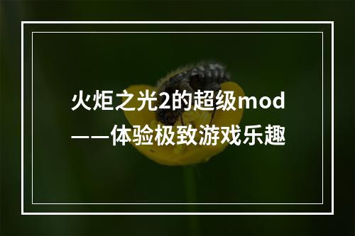 火炬之光2的超级mod——体验极致游戏乐趣