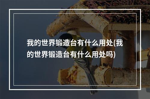 我的世界锻造台有什么用处(我的世界锻造台有什么用处吗)