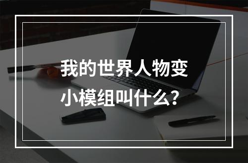 我的世界人物变小模组叫什么？