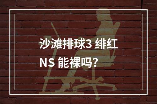 沙滩排球3 绯红NS 能裸吗？