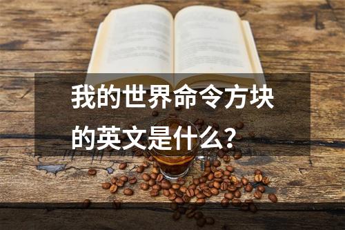 我的世界命令方块的英文是什么？