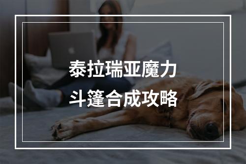 泰拉瑞亚魔力斗篷合成攻略