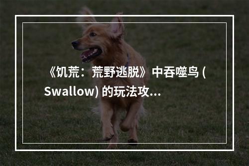 《饥荒：荒野逃脱》中吞噬鸟 (Swallow) 的玩法攻略