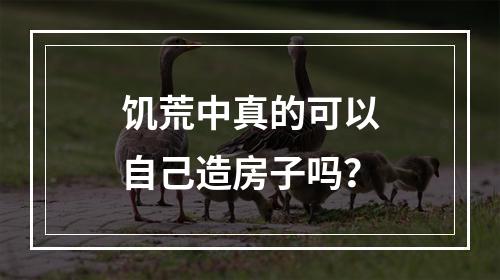 饥荒中真的可以自己造房子吗？