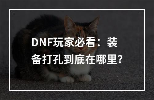 DNF玩家必看：装备打孔到底在哪里？