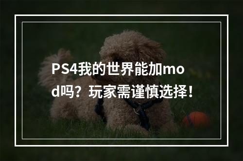 PS4我的世界能加mod吗？玩家需谨慎选择！