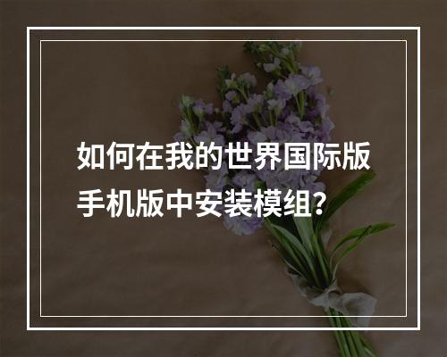 如何在我的世界国际版手机版中安装模组？