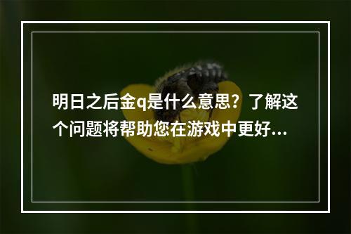 明日之后金q是什么意思？了解这个问题将帮助您在游戏中更好地使用该装备。以下是我们这篇文章的主要内容：