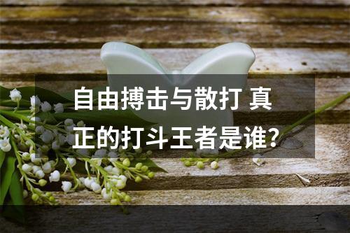 自由搏击与散打 真正的打斗王者是谁？