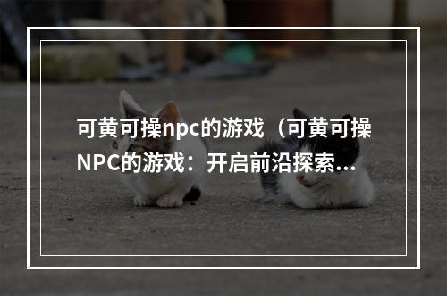 可黄可操npc的游戏（可黄可操NPC的游戏：开启前沿探索）