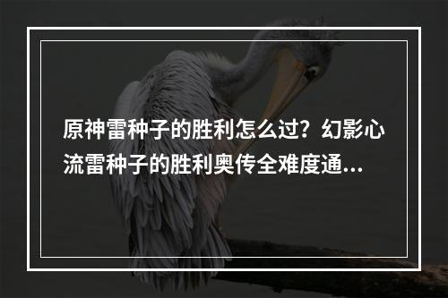 原神雷种子的胜利怎么过？幻影心流雷种子的胜利奥传全难度通关攻略[多图]--手游攻略网