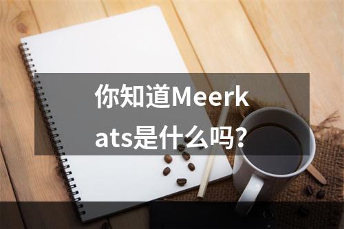 你知道Meerkats是什么吗？