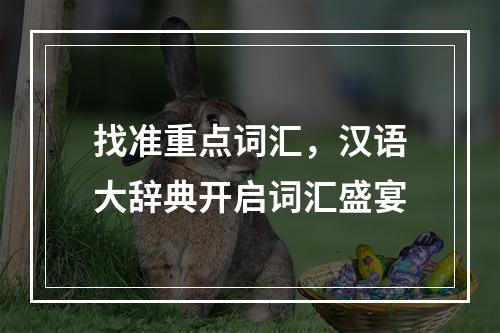 找准重点词汇，汉语大辞典开启词汇盛宴