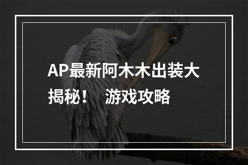 AP最新阿木木出装大揭秘！  游戏攻略