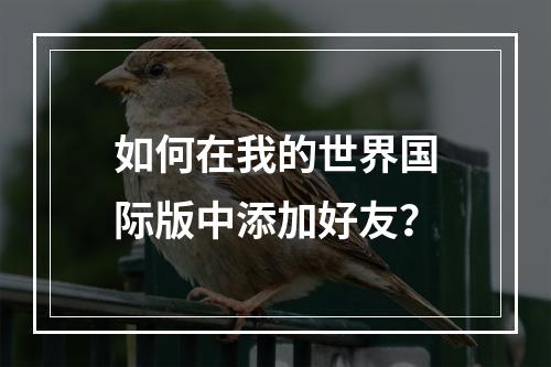 如何在我的世界国际版中添加好友？