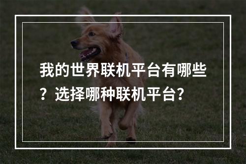 我的世界联机平台有哪些？选择哪种联机平台？