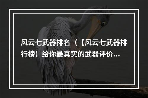 风云七武器排名（【风云七武器排行榜】给你最真实的武器评价）