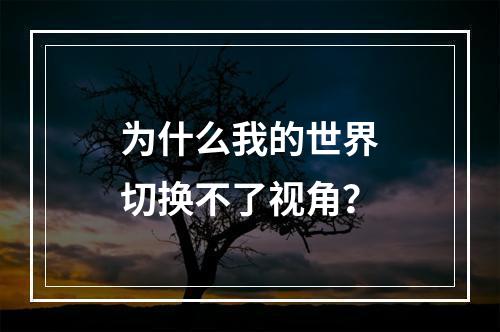 为什么我的世界切换不了视角？