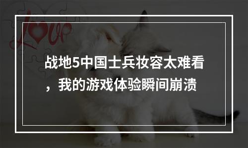 战地5中国士兵妆容太难看，我的游戏体验瞬间崩溃