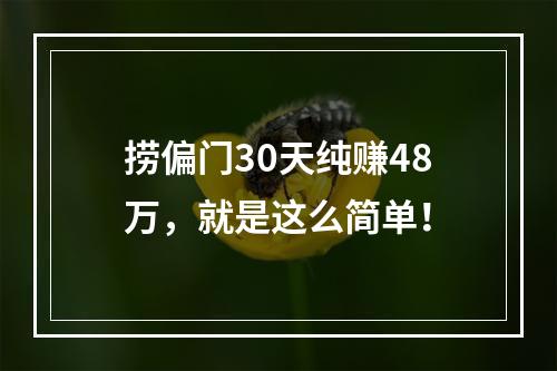 捞偏门30天纯赚48万，就是这么简单！